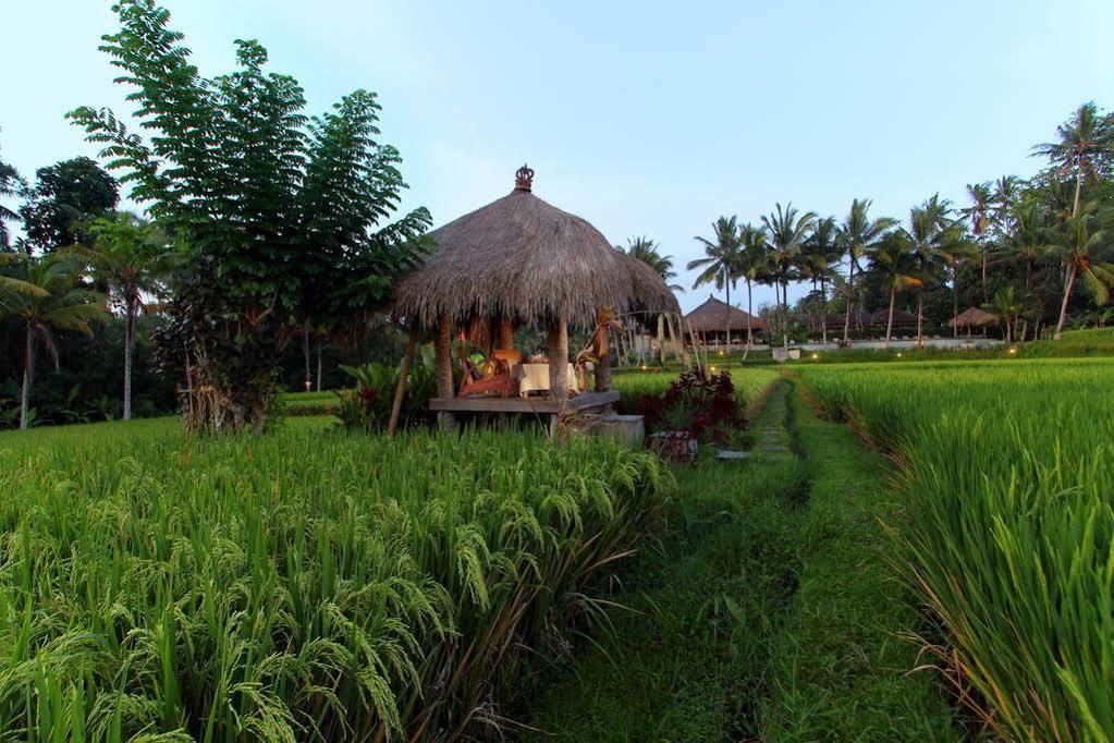 Kencana Ubud By Mahaputra Kültér fotó